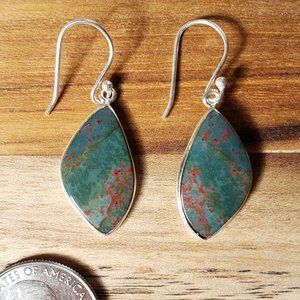 Natural Bloodstone Slab Earrings with 925 Sterlings Silver Ear Wires